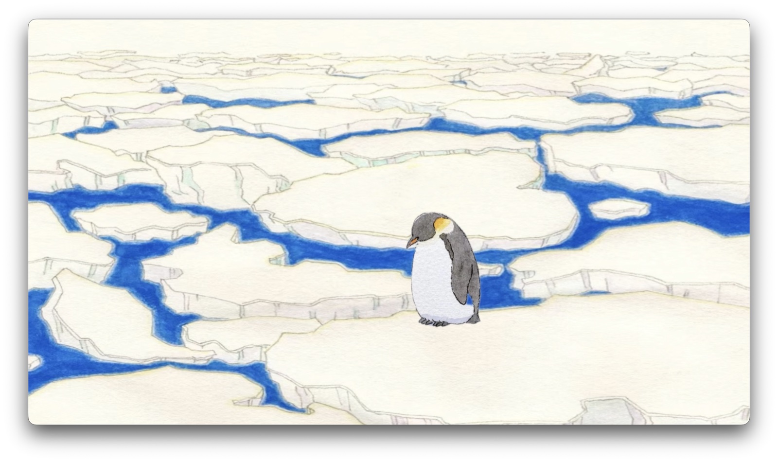 Antarctic Protection